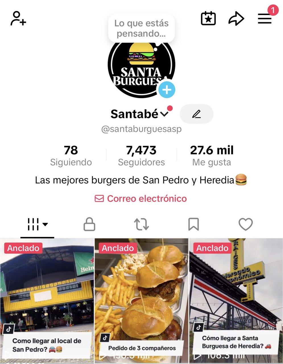 Videos realizados para Santa Burguesa