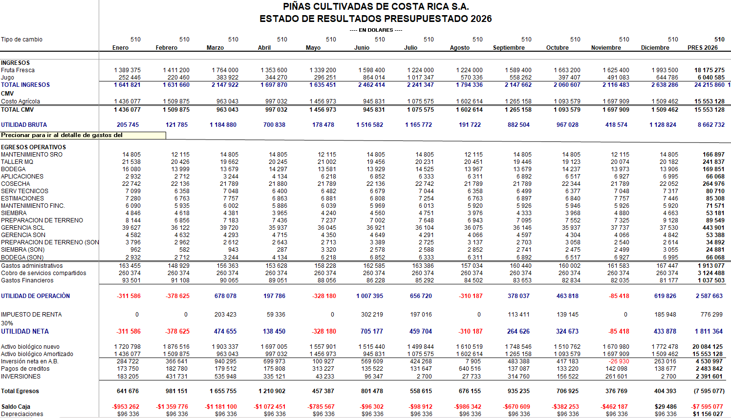 Flujo de caja y presupuesto en dolares
