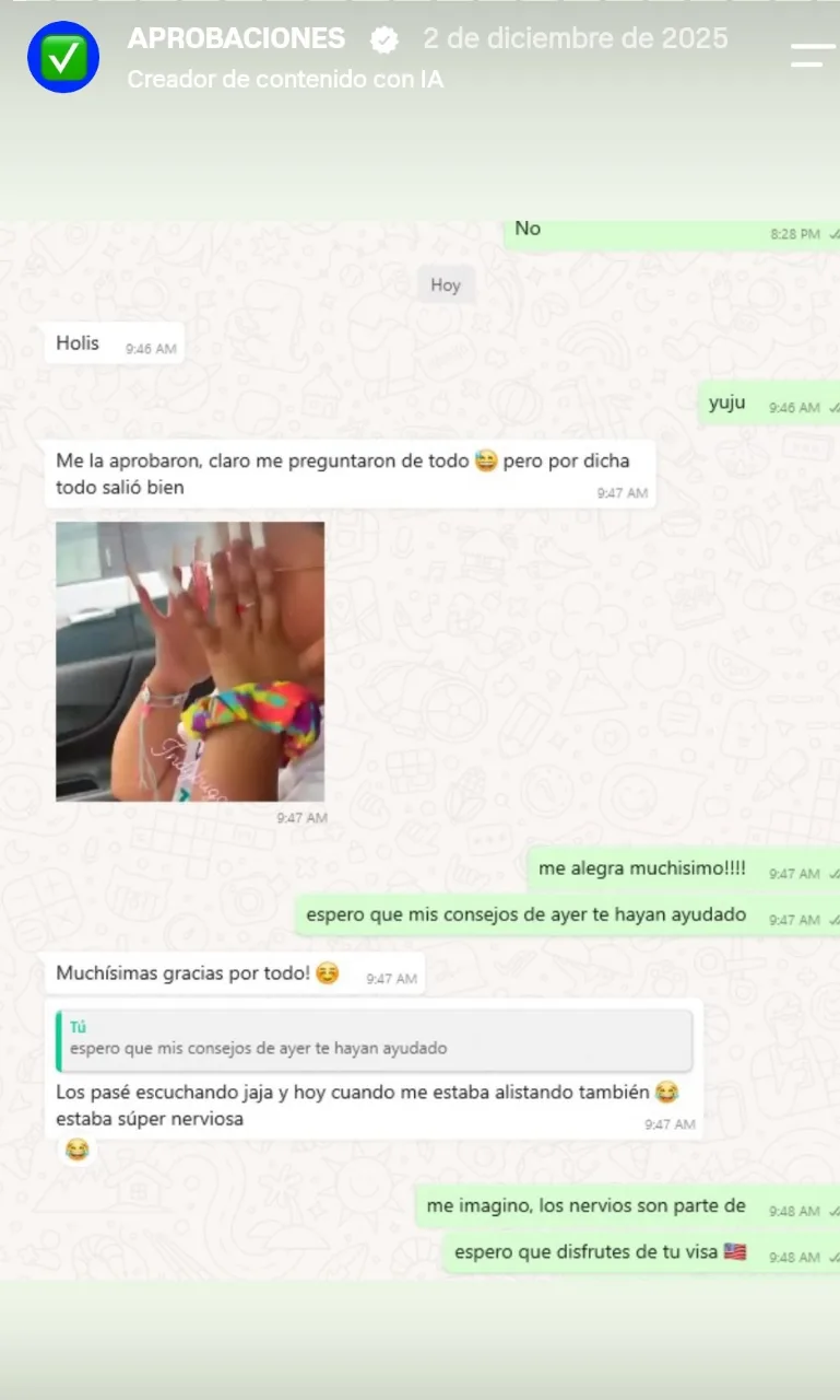 Reseñas de aprobación de visa americana
